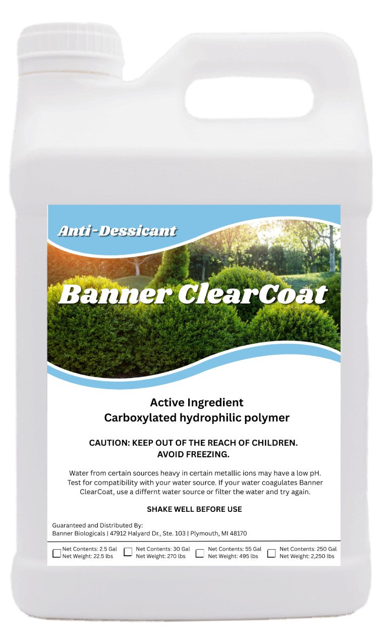 Banner ClearCoat Main image