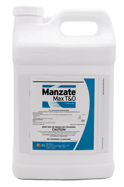 Manzate