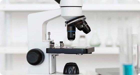 Biology behind the microbes