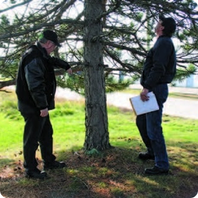 DEEP ROOT FEEDING FORMULATIONS