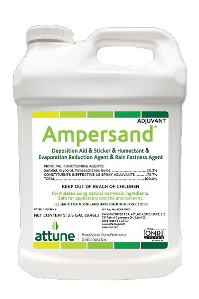 Ampersand